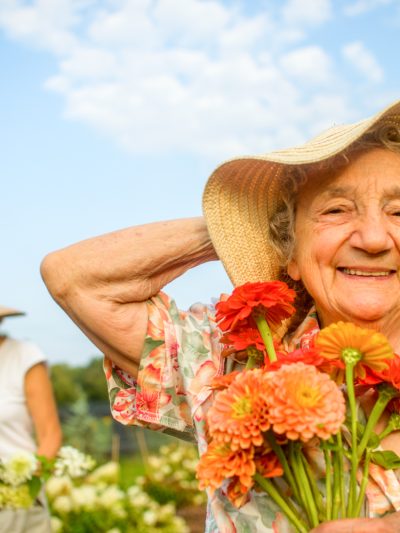 Area Agencies on Aging